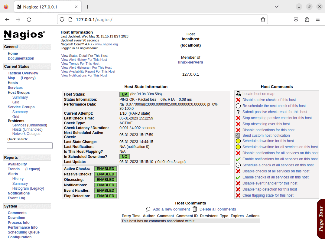 Nagios Services Page